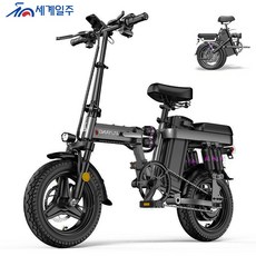  세계일주 접이식 전기자전거 400W 48V 15AH전동 접이식 배달용 출퇴근 경량형 CK22-Pro (부가세 포함 )(99%조립), 블랙 