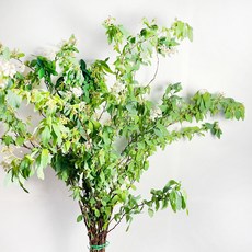 7f18a2e52b3de72bbd02a7025b0b422fe44fbc95cc0b5e543d6a93b0627c.jpg