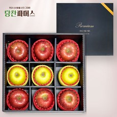 [당찬파머스] 프리미엄 이색사과 선물세트 (부사6 + 시나노골드3), 1세트