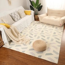 [전기담요] 모던 심플 넓은 영역 거실 장식 카펫 두, C_200x300cm