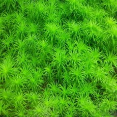 5c1aeeb65f26fa6dad97c541530e63a6521f47237ddf5fb49f89f357de9c.jpg