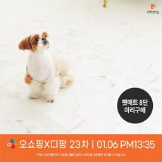d30630db6bfdc438ff98f53d22b619bfe78f2170decbf897e257cc0ebca0.jpg