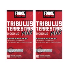 포스팩터 트리뷸러스 2000mg 120캡슐 2병 Tribulus 트리블러스 테스토스테론, 2개, 120정