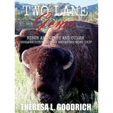 (영문도서) Two Lane Gems Vol. 2: Bison are Giant and Other Observations from an American... Hardcover, Local Tourist, English, 9780960049523