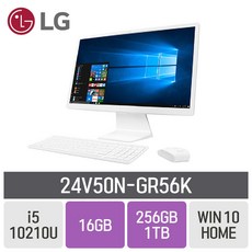 LG 일체형PC 24V50N-GR56K, RAM 16GB + SSD 256GB + HDD 1TB