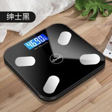 비스카전자저울
