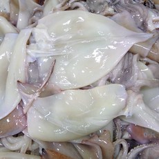 동바다수산 동해안 영덕 손질 오징어 정품 / 파품 1kg내외, 1개, 원양 손질 정품 (1kg내외/4~7미)