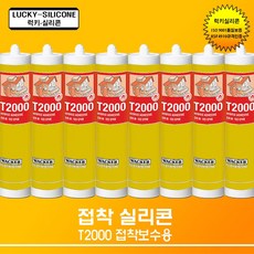 t2000실리콘