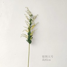 그레이말린사진