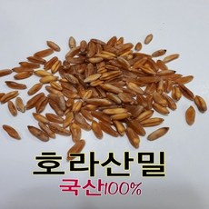 고대곡물골드카무트300g