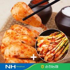 순천농협 [순천농협] 남도의 맛! 총각김치 3kg+파김치 1kg, 1box