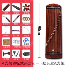 가야금전문가용