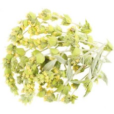 허바텍 NATÜRLICH GESUND 그리스산 산차 그리스 버베나 100g 유기농