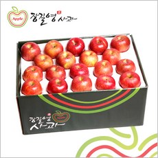 [장길영사과] 사과 중과 10kg(33~39과), 단품