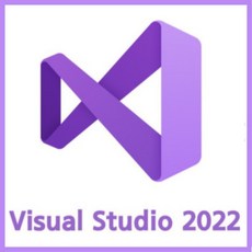 MS VISUAL STUDIO PRO 2022 LICENSE - 수어스스튜디오