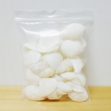 꾸미기조개껍데기