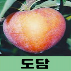 40f9678556a6b914104f8b8f6d18bce497249b0551c65384ee8b20963d2f.png