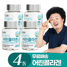 alle 저분자 어린콜라겐 펩타이드 비오틴정 60정 4개