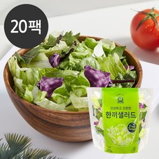 미트리 매일 식단관리 한끼 샐러드 100g 20팩, 단품