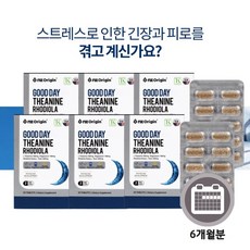 마음치료제