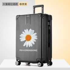 코스트코이민가방