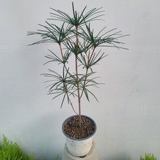 caa17bb8aa299f2c7cb095264679a88f7597d82b91982a7ee520c85dfa31.jpg