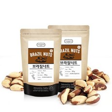 브라질너트 260g, 1개, 상세설명 참조