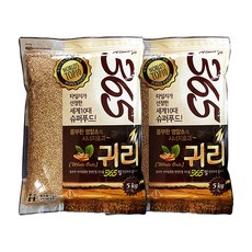 현대농산 2022년 햇곡 수입 귀리 10kg (5kgx2봉), 2개, 5kg