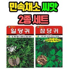 민속채소 씨앗 2봉 (일당귀+참당귀) 종자 씨, 1세트