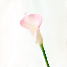 c7025338942744f165b9350b81c57d6c52b4a5e32542377b39f1a4c3dcee.jpg