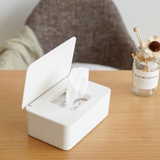 모던 수분보존 오염방지 밀폐수납 위생 물티슈케이스, 1개, 화이트