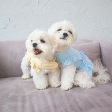 카로펫 베이직 프릴 하네스, 베이지, 1개