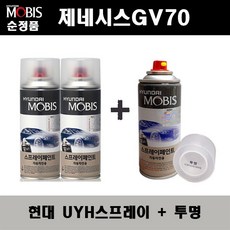 gv70우유니화이트