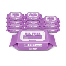 올프리중공사막