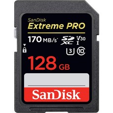 샌디스크256gb