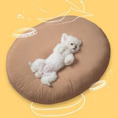 강아지사진이불
