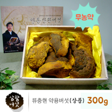 무농약 인증 국산 상황 버섯 상황버섯균사체 원물 100% 베타글루칸 펠리누스린테우스 상황버섯차 뽕나무 목질진흙버섯 종류 먹는방법 끓이는법 효능 친환경 류충현 약용버섯 면역 365 건강 선물세트, 1set, 300g