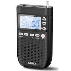 휴대용 라디오 AM FM 스피커 블루투스 충전 TF MP3 워크맨 디지털 2000mah, US