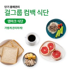 슬림쿡 [정기배송] 덴마크 프로그램 식단관리 도시락 X 2주, 단품
