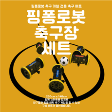 핑퐁로봇에듀듀오