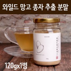 와일드망고추출물 분말 100% 미국산 와일드망고 씨앗 종자 추출물 가루 고농축 와이드망고 아프리칸 야생 망고 파우더 과립 먹는법 렙틴 아디포넥틴, 120g, 1병