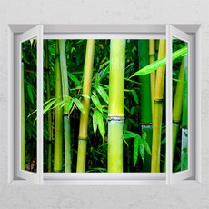 금나무그림시트지