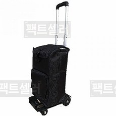 해동카리스마캐리어