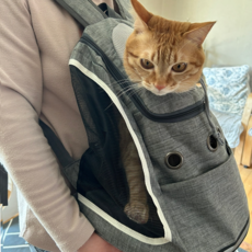 대형견셀프백팩 TOP01