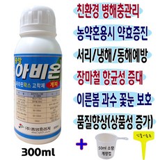 김애란달려라아비