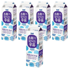 매일유업 매일우유 소화가 잘되는 우유, 930ml, 5개