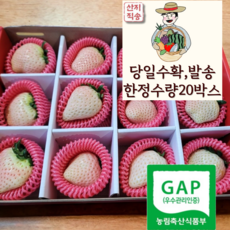 로얄농수산 23년 당도끝판왕 GAP인증 신데렐라딸기 하얀딸기 흰딸기 750g 1.5kg, 750g내외, 1개