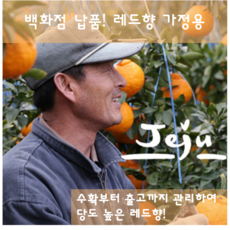 영동군레드향농가