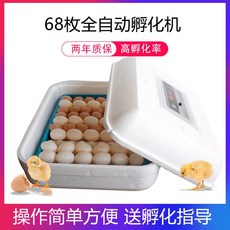 9be973966a87ccda20a6eb3b15e2659556852204fb3f13ec3373548b03ab.jpg