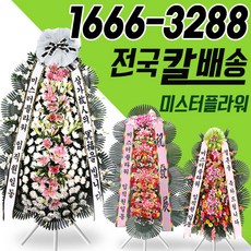 전국화환 근조 장례식 개업 축하 결혼식 부산 서울 김해 마산 창원 경주 울산 대구 순천 청주 충주 천안 안산 안양 인천 수원 제주도